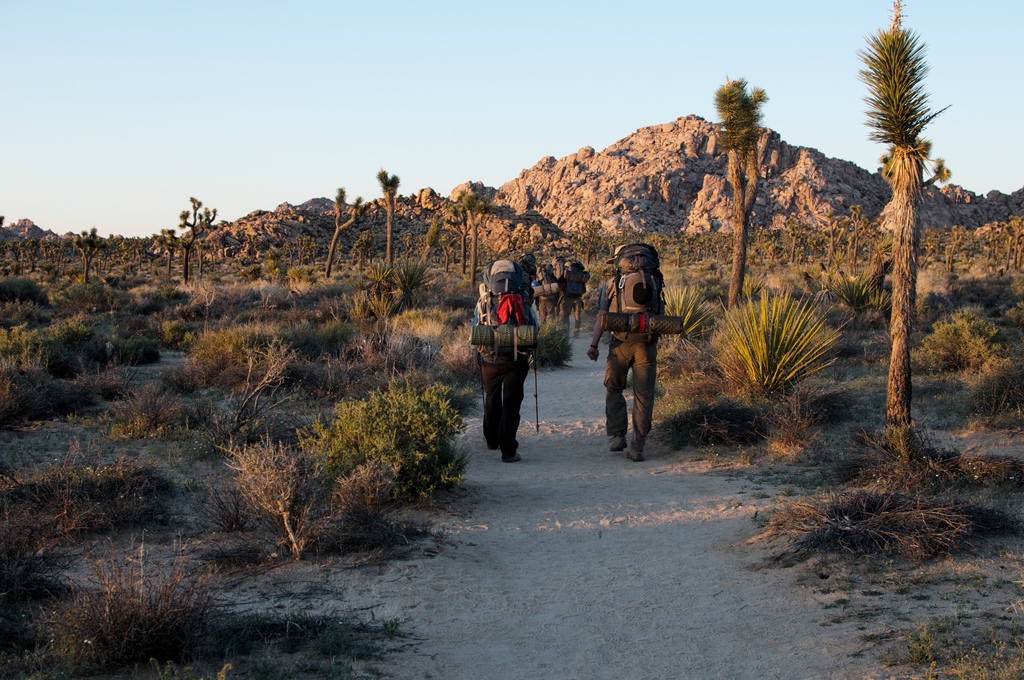 Joshua Tree Backpacking