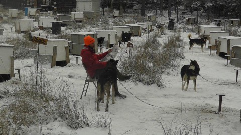 House Training Older Dogs Problems House Training Older Dogs Problems