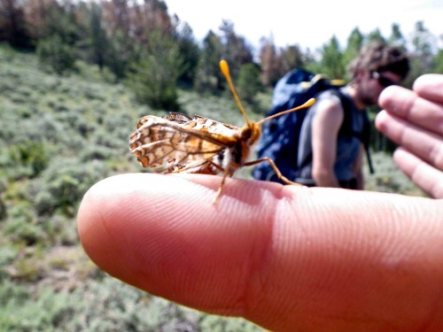 Student connects with nature during an Outward Bound Course