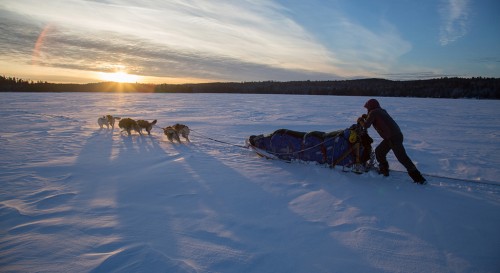 dog sledding trips.