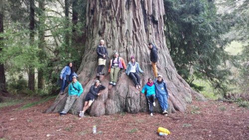 learning in the outdoor classroom