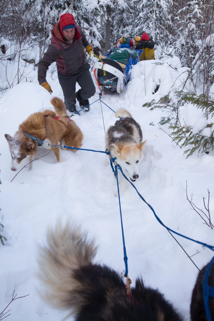 Halloween Costume Ideas by Outward Bound: Dog Musher