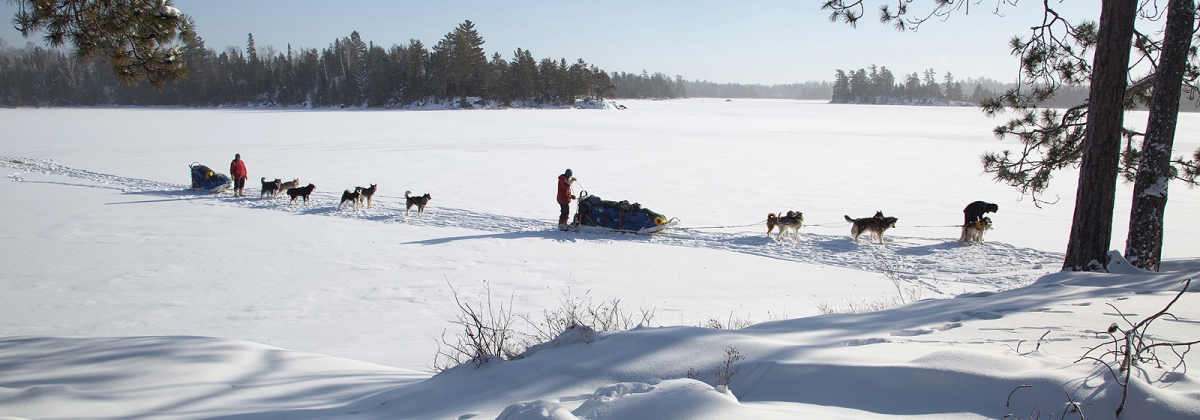 Outward bound dog sledding deals