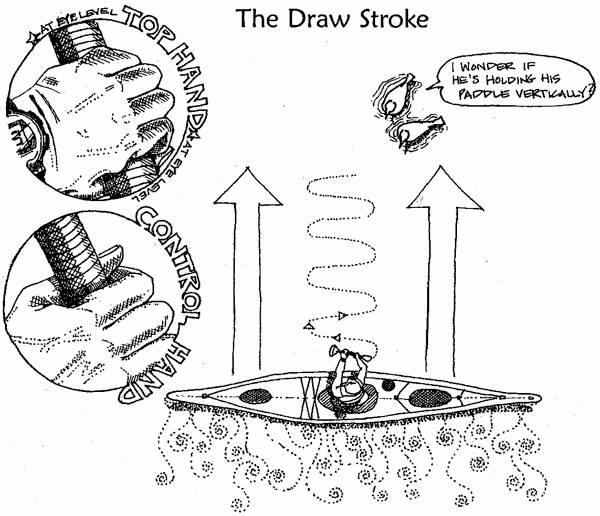 Draw Stroke Paddle