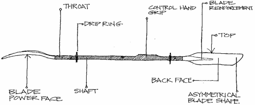 Parts of a Kayak Paddle