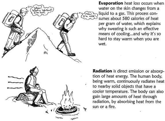 Evaporative Heat Loss
