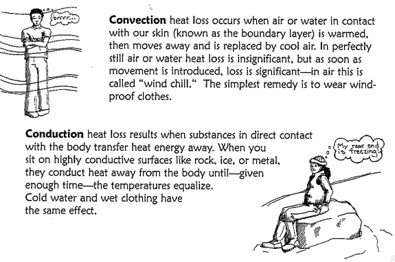 convection heat loss