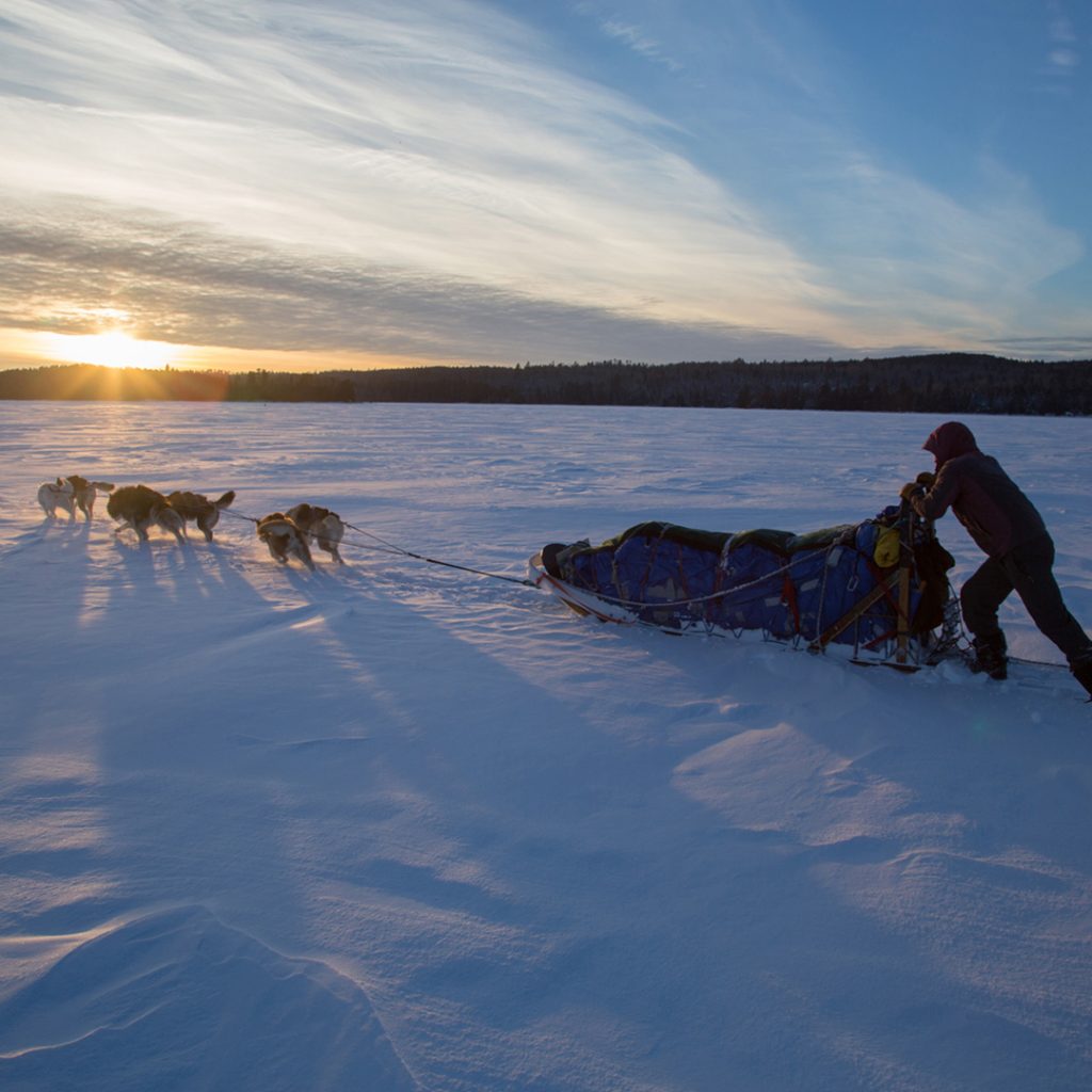 Boundary Waters Dog Sledding & Texas Big Bend Leadership Semester