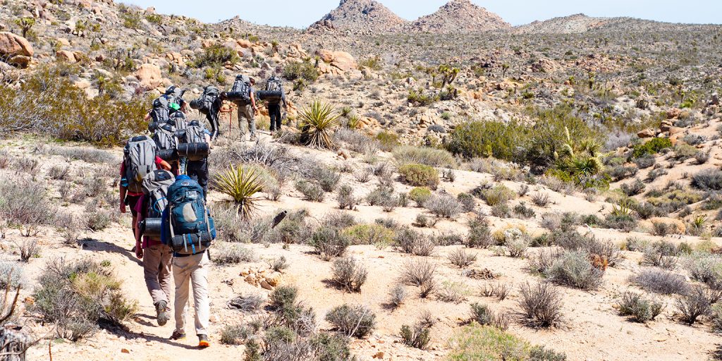 Photo taken on a Joshua Tree Backpacking & Rock Climbing for Adults expedition.