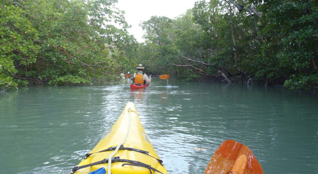 Photo taken on a Ten Thousand Islands Sea Kayaking for Adults course.