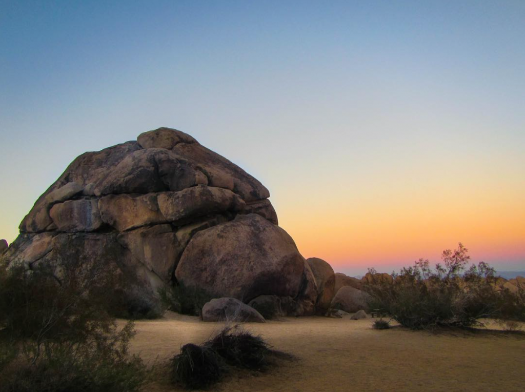 Joshua Tree