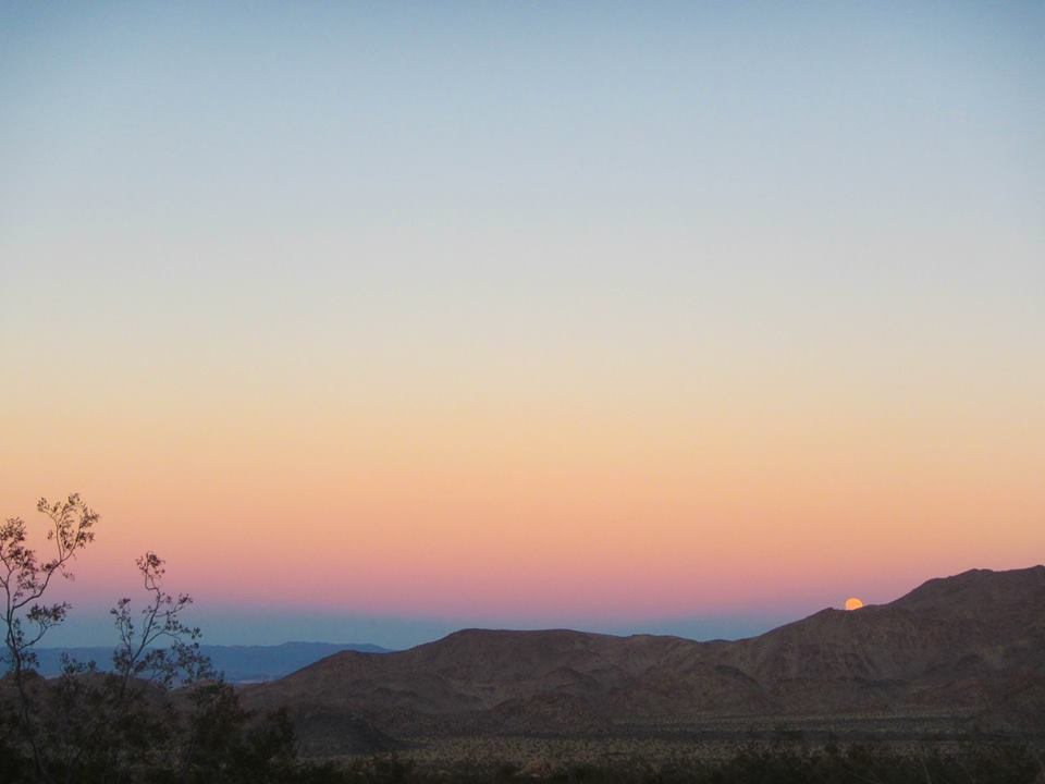 Joshua Tree National Park