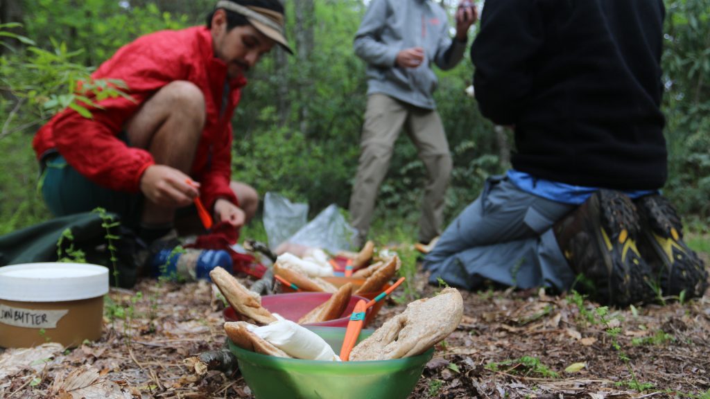 backpacking trip meals