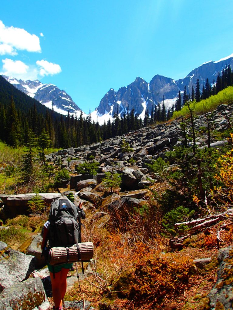 How to survive in the wilderness