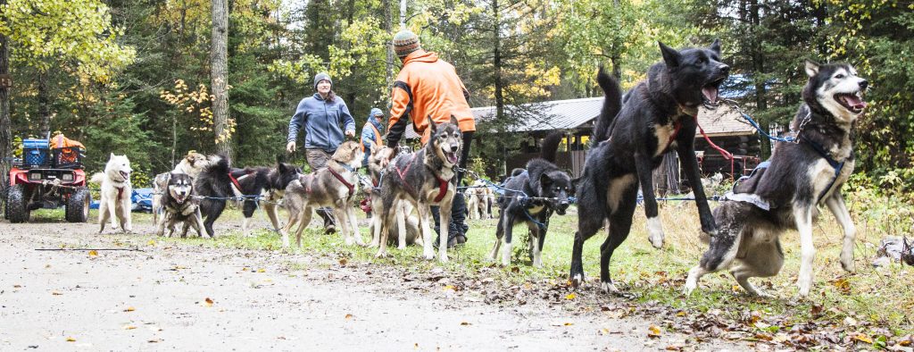 Dog sledding with Outward Bound