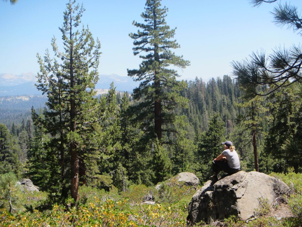 Photo shows a student participating in Solo on their Outward Bound course.