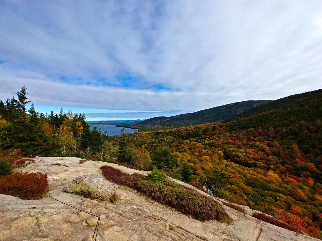 leaf-peeping