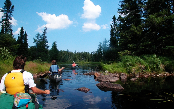 a group of gap year students paddle canoes through calm but rocky water on an outward bound course. Evergreen trees and tall grass line the shore.