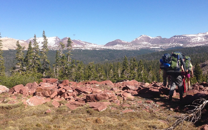 A group of students wearing backpacks hike away from the camera toward a line of evergreen trees. There are snowy mountains in the background.