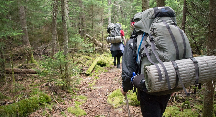 Backpackers hike along a trail through a wooded area