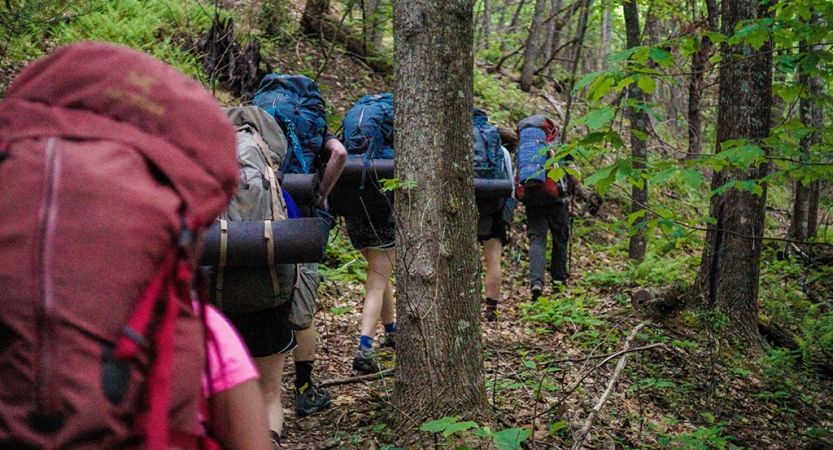 A group of people wearing backpacks hike away from the camera through a densely wooded area. 