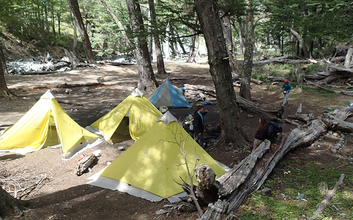 Four tents rest in on the ground in a wooded area. 