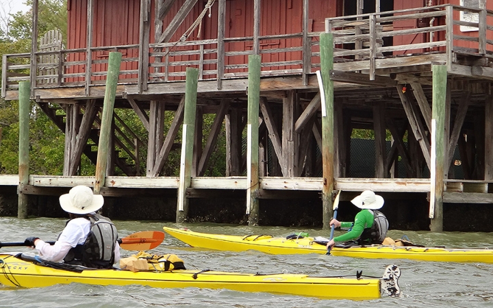 ten thousand islands kayaking trip for adults