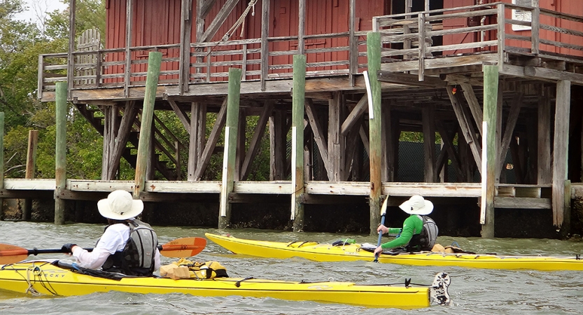 ten thousand islands kayaking trip for adults