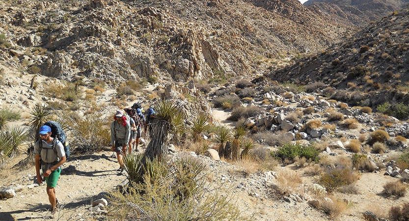A group of adult backpackers make their way through the rocky terrain of Joshua Tree National Park.