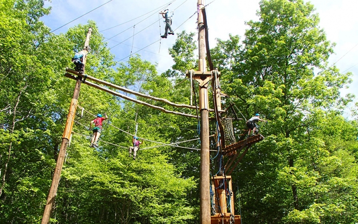 From the ground looking up, a group of people wearing safety gear make their way through high ropes course amongst tall green trees.