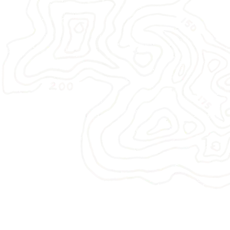 Topo Element