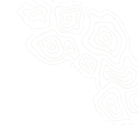 Topo Element