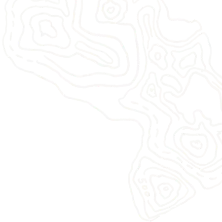 Topo Element